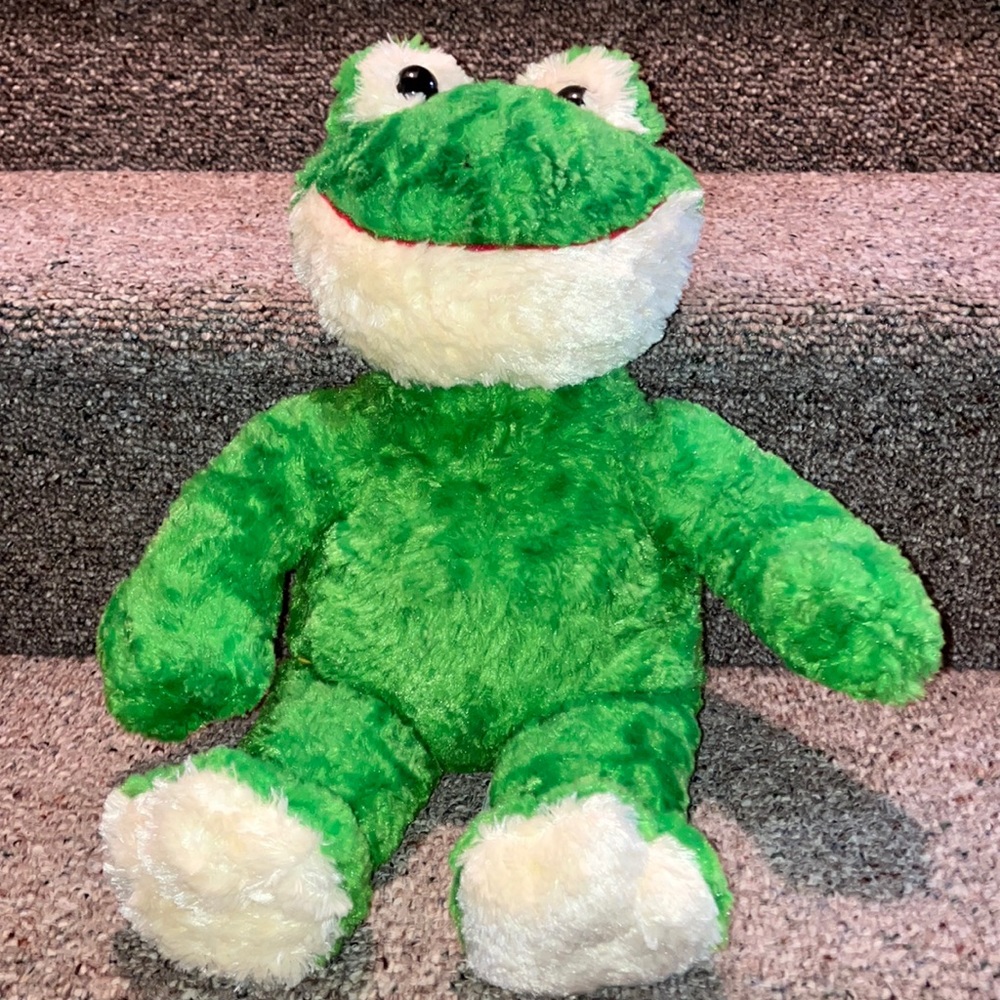 Gently Loved - Build A Bear Frog